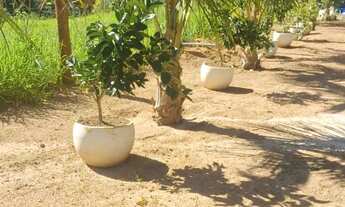 Imagem 4: CHACARA EM BONFINOPOLIS