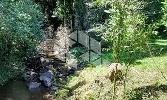 Imagem 6: Sitio de 22 hectares a poucos quilometros de Canela