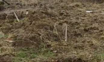 Imagem 2: Vende-se esse terreno em Muniz Ferreira- ba