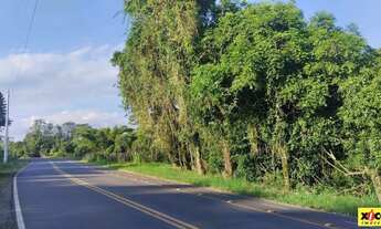 Imagem: Sítio / Chácara para Venda em Nova Petrópolis