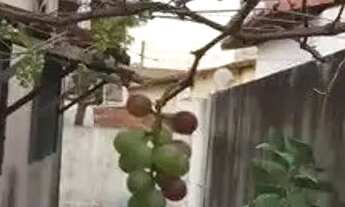 Imagem 4: Casa à venda no ILHA DE CAPRI , PLANALTO, Natal, RN