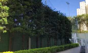 Imagem 2: Cobertura em Rua Jasmim - Mansões Santo Antônio - Campinas/SP