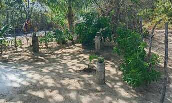 Imagem 5: Casa com árvores e fruteiras