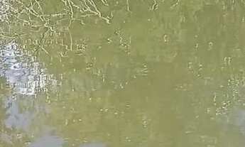 Imagem 6: Fazenda no municipio de Niquelandia perto da cerra da mesa