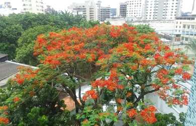 Imagem 2: Metrô Uruguai Apartamento com 3 dormitórios
