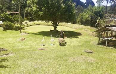 Imagem 5: Vendo chacara 200.000,00 Juquitiba