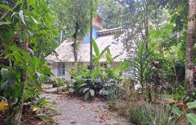 Imagem 2: Excelente oportunidade casa a venda em meio à mata atlântica - Sertão do Camburi