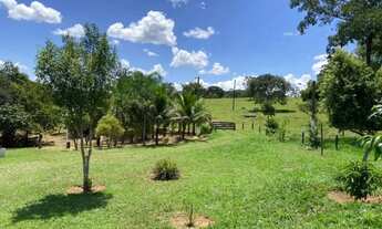 Imagem 2: Chácara com 19.3600 m² ( 04 alqueires) - Chácara Boa Vista - Goiânia/GO