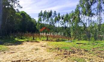 Imagem 3: Chácara em Campo Largo - Pr - Retiro - Retiro Grande/PR