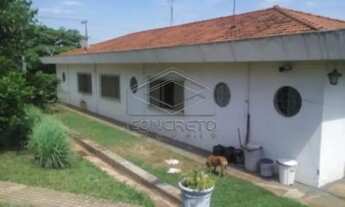 Imagem 4: Casa Padrão em Bauru