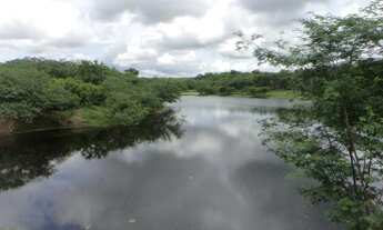 Imagem 4: Fazenda Quixeramobim - Vendo!