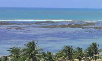 Imagem 6: Apto 1qto, 185 mil, andar e alto baixo, lazer, candeias