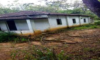 Imagem: Fazenda de 28 hectares com casa antiga lagoa