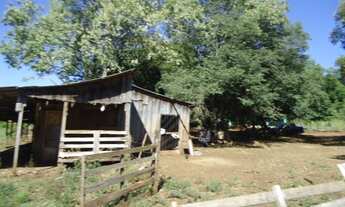 Imagem 4: AR 2722) Chácara: Mousquer: Entre-Ijuís, RS