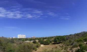 Imagem 6: Oportunidade, compacto cidade 2000/Manoel Dias Branco liga 9 8 7 4 8 3 1 0 8 DIEGO9989F