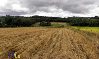 Imagem 6: Terreno Rural para Venda, Rodeio Chapada