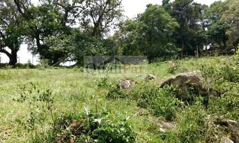 Imagem 4: Sitio-para-Venda-em-Suru-Santana-de-Parnaiba-SP