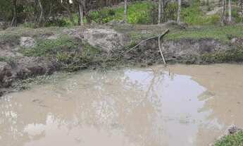 Imagem 6: Sítio para Venda em Pinhalzinho, zona rural, 2 dormitórios, 1 banheiro