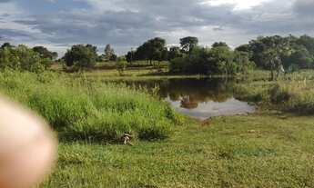 Imagem 2: Chácara de 12,5 hectares. Com Córrego