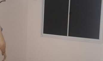 Imagem 3: SOLAR DO PORTO SEMI MOBILIADO