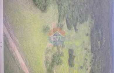 Imagem 5: ÓTIMA FAZENDA. codigo: 29284