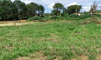 Imagem 2: Lote 26 de setembro