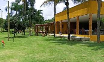 Imagem: Linda Fazenda