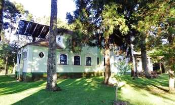 Imagem 7: Casa canela RGS 7 Quartos Centro