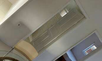 Imagem 2: Apto anual RATONES