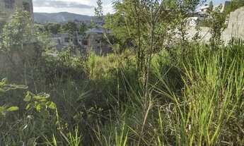 Imagem 5: Meio Lote Perola Negra Santa Luzia