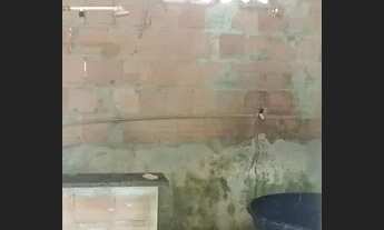 Imagem 4: Casa no terra nova pioriní