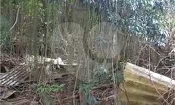 Imagem 4: AMPLO TERRENO SA SANTA TERESINHA