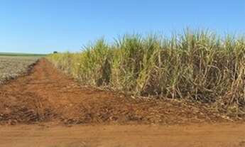 Imagem 6: SÍTIO região de IGARAPAVA