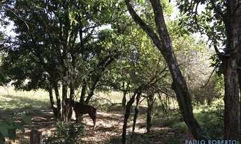 Imagem 4: AREA - CORRUPIRA - SP