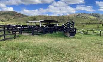 Imagem 4: Fazenda de luxo - 70 km de Teófilo Otoni