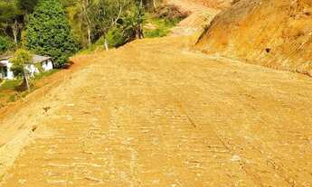 Imagem 2: Santa Leopoldina