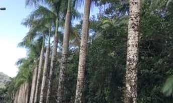 Imagem 5: Casa em Caragua na praia Massaguacu