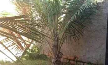 Imagem 3: Vendo casa Casa com 2 dormitórios