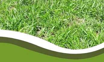 Imagem: TB - Vendo Terreno para descanso e lazer