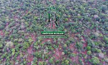 Imagem 7: Fazenda 216 Alqueires Bruta Luzimangues