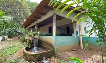 Imagem: Vende-se chácara de 16 mil metros em Trindade-GO