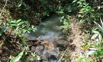 Imagem 3: Terreno rural 7.8ha, casa antiga, barracão, arvores frutíferas, 2 nascentes,2 lagoas, Jab