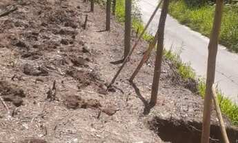 Imagem 4: Vende-se terreno Para sítio em Aruja