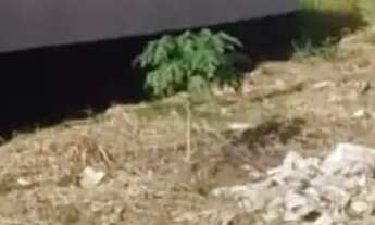 Imagem: Imóvel para venda possui 150 metros quadrados