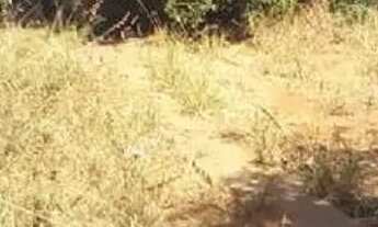 Imagem 3: VENDE - SE, UMA ÁREA PRÓXIMO A NAVESA NO SETOR AEROPORTO