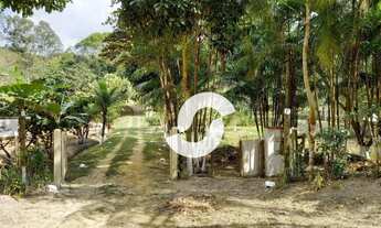 Imagem 5: Sítio à venda, 64000 m² por R$ 399.000,00 - Reginópolis - Silva Jardim/RJ