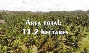 Imagem 3: Terreno em Japaratinga/AL