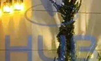 Imagem 7: Casa à Venda, 6 Suítes, 500m2, (projeto e construção) Jurerê Internacional, Florianópolis