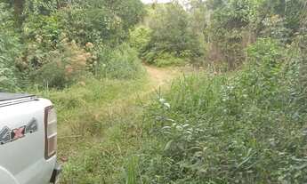 Imagem 2: 3 alqueires paulistas 111 mil reais