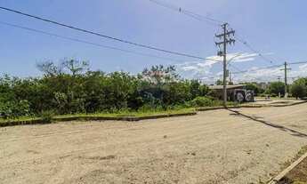 Imagem 7: Amplo terreno no Bairro São Gonçalo, com 2.940m² (35x84m